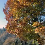 Ca' Becca-bioglio La Casa Dei Giardini * Bioglio