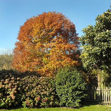 Ca' Becca-bioglio La Casa Dei Giardini Villa *