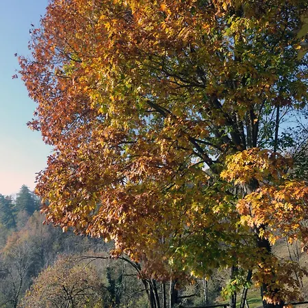 Ca' Becca-bioglio La Casa Dei Giardini * Bioglio