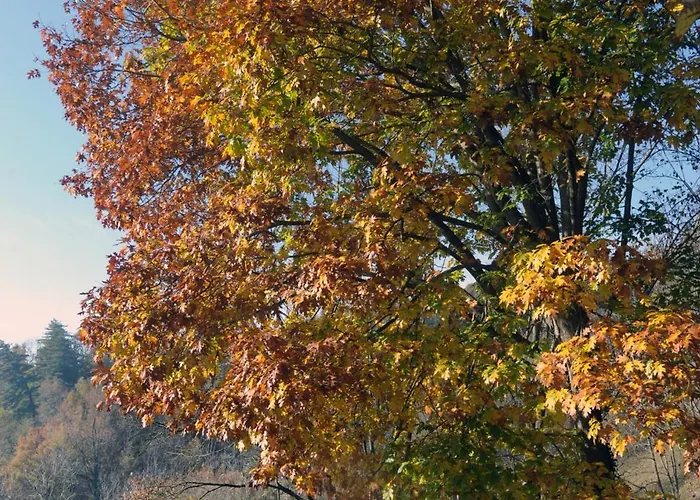 Ca' Becca-bioglio La Casa Dei Giardini * Bioglio